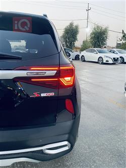 کیا سێلتۆس